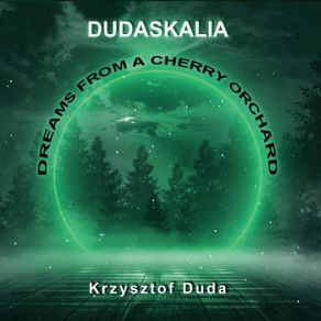 Download track Driving Amber One Krzysztof Duda