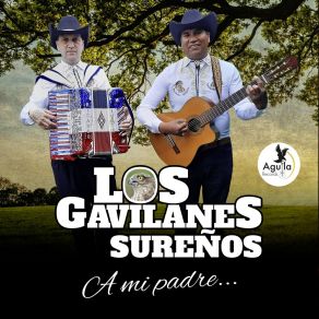 Download track Leyendo El Diario Los Gavilanes Sureños