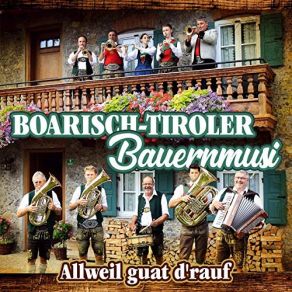 Download track Musikanten Laden Euch Zum Feiern Ein Boarisch-Tiroler Bauernmusi