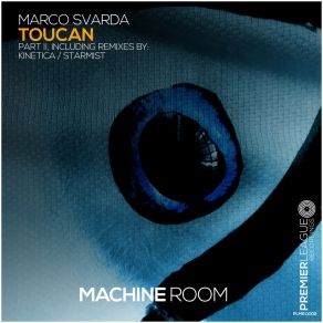 Download track Toucan (Kinetica Remix Edit) Marco SvardaKinetica