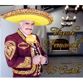 Download track Lastima Que Seas Ajena Vicente Fernández