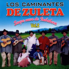 Download track En Mi Escuelita Los Caminantes De Zuleta