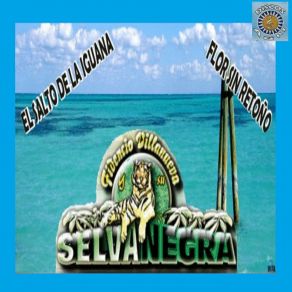 Download track Bailen Mi Cumbia Selvanegra