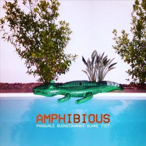 Download track Amphibious Pasquale Buongiovanni Glare 7tet