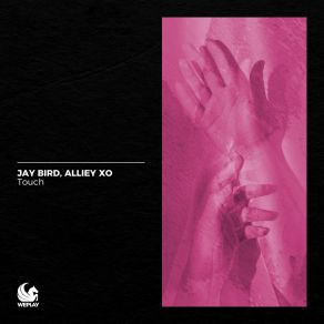 Download track Touch (Extended Mix) Alliey XO