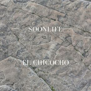 Download track Chasing Enigmatic Melodies SoonLife