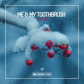 Download track Sister (Original Club Mix) Me My Toothbrush