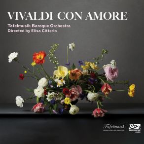 Download track 4. Violin Concerto In C Minor RV 761 ''Amato Bene'': II. Largo Antonio Vivaldi