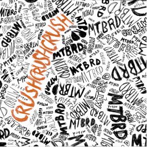 Download track Crushcrushcrush (DJ HipSter Remix)  Paramore