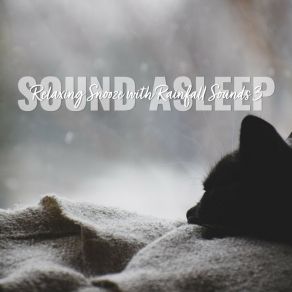 Download track Relaxing Snooze With Rainfall Sounds, Pt. 7 Elijah Wagner