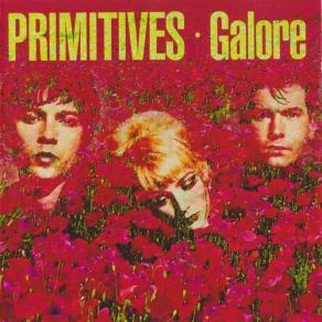 Download track See Thru The Dark The Primitives