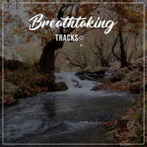 Download track Meditative Rainfall Relaxation Sleep Meditation