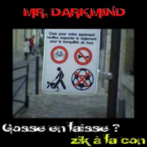 Download track Micke Le Geek Mr Darkmind
