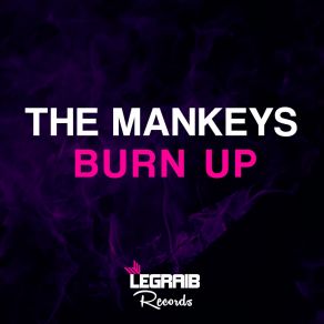 Download track Burn Up (Original Mix) The Mankeys