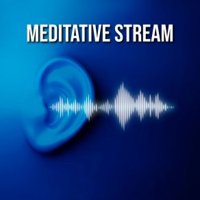 Download track Silent River Meditacion Celestial