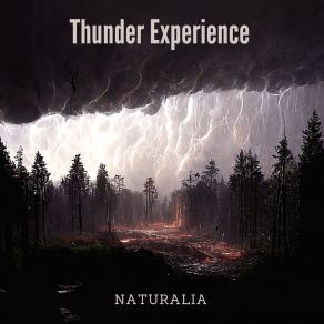 Download track Heavy Showers & Lightnings Naturalia