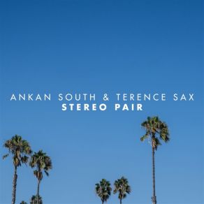 Download track Stereo Pair (Radio Edit) Terence Sax