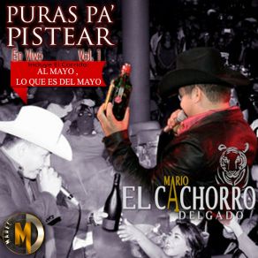 Download track Al Mayo Lo Que Es Del Mayo (En Vivo) Mario El Cachorro Delgado