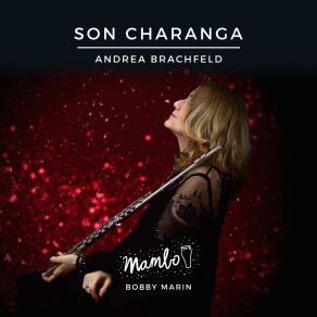 Download track Rumba Cha Andrea Brachfeld