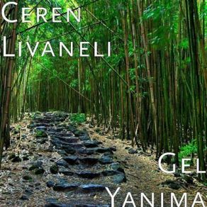 Download track Gel Yanima Ceren Livaneli