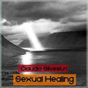 Download track Sexual Healing (Radio Edit) Claudio Silvestri