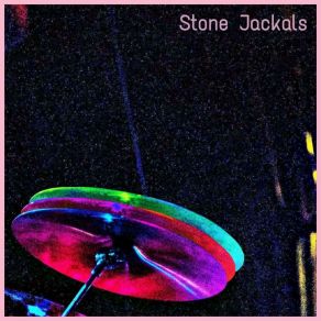 Download track Confessions Of A Narcissist (Demo) Stone Jackals