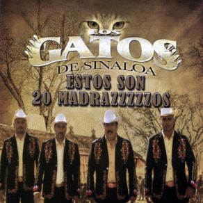 Download track El Chapulin Los Gatos De Sinaloa