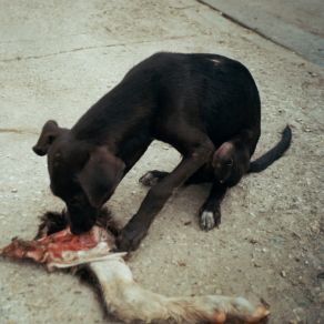 Download track Drug Dealer Slowthai