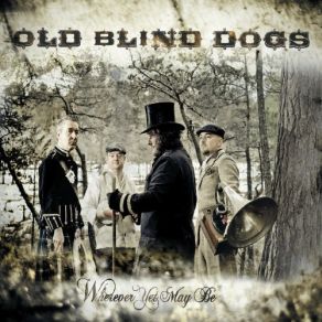 Download track Where Are You? Old Blind Dogs