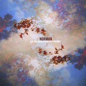 Download track The Wild & The Tame Norman