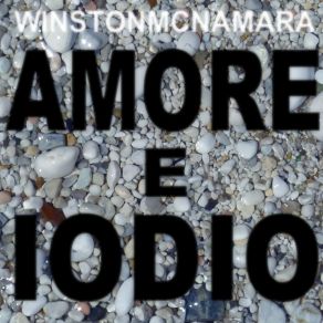 Download track Adesso Manca Il Ghiaccio WINSTONMCNAMARA