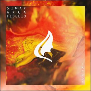 Download track Fidelio (Piano Version) Simay Akca