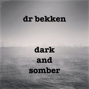 Download track Stone Blues # 4 Dr. Bekken