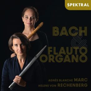 Download track Triosonate D-Moll Für Orgel, BWV 527: II. Adagio E Dolce Helene Von Rechenberg, Agnès Blanche Marc