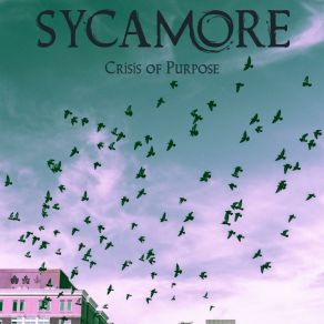 Download track Nosebleed Seats Sycamore