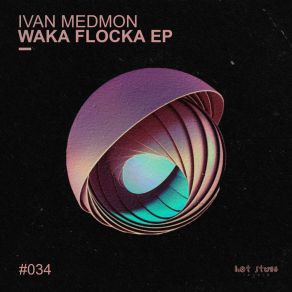 Download track Waka Flocka (Original Mix) Ivan Medmon