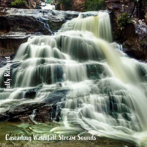 Download track Cascading Waterfall Stream Sounds, Pt. 13 Steve Brassel