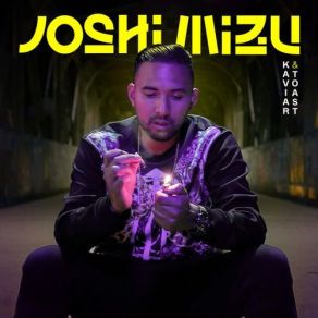 Download track Vielleichtlebig Joshi Mizu