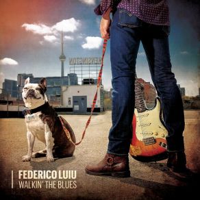 Download track She's Gone Federico LuiuMatt Schofield