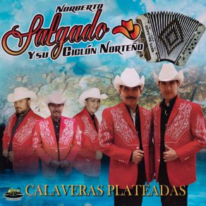 Download track Alfredo Y Misael Norberto Salgado Y Su Ciclón Norteño