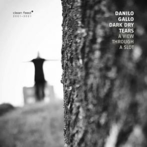 Download track Gummy Wall Danilo Gallo Dark Dry Tears