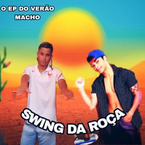 Download track Kica No Gral Swing Da Roça