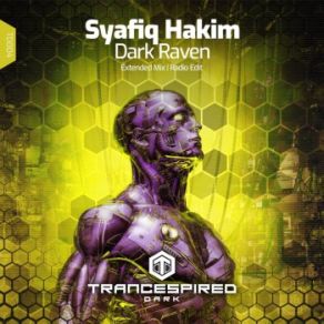 Download track Dark Raven (Extended Mix) Syafiq Hakim