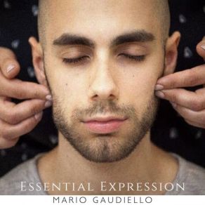 Download track Complicated Expression Mario Gaudiello