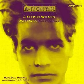 Download track Miss U Steven Wilson, Aviv Geffen