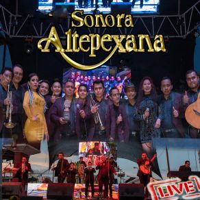 Download track Amarrame (Live) Sonora Altepexana