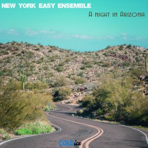 Download track From A New Land (Original Mix) New York Easy Ensemble