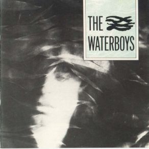 Download track Where Are You Now When I Need You? The Waterboys