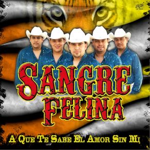 Download track Las Güeras De Zacatecas Sangre Felina