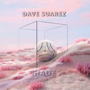 Download track Shades (Radio Edit) Dave Suarez